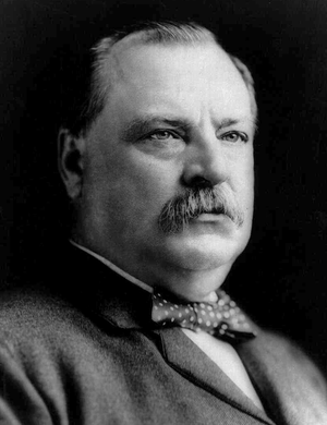 Grover Cleveland: Familie og tidlige liv, Politisk karriere i New York, Valget i 1884