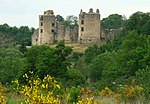 Vignette pour Château de Saint-Germain-de-Confolens