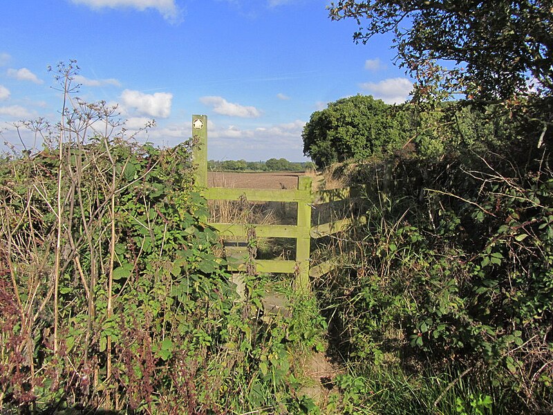 File:Stile at Higher Smallwood Farm, Odd Rode - geograph.org.uk - 4754488.jpg