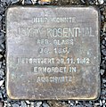 image=https://commons.wikimedia.org/wiki/File:Stolperstein_Stubenrauchstr_11_(Fried)_Jenny_Rosenthal.jpg