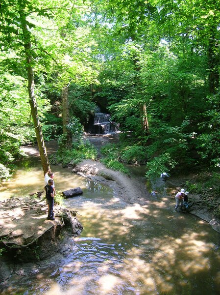 File:Stream, Big Wood - geograph.org.uk - 843924.jpg