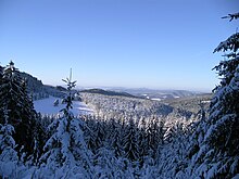 Verschneiter Winterwald oberhalb von Struth-Helmershof