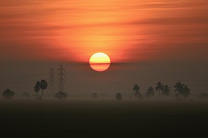 Sunrise on paddy fields near Eluru