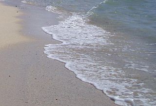 <span class="mw-page-title-main">Swash</span> A turbulent layer of water that washes up on the beach after an incoming wave has broken