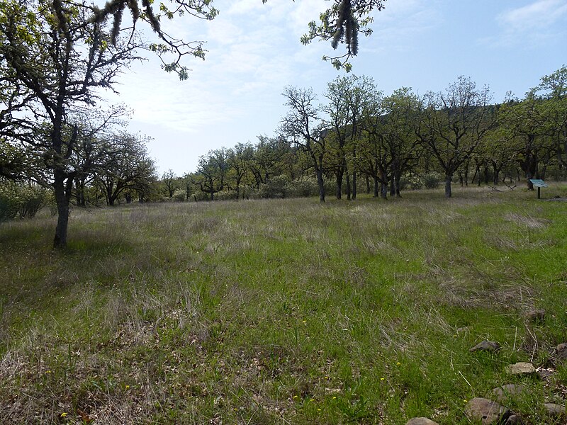 File:Table Rock Oak Savanna 2.JPG