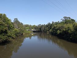 Tallebudgera Creek en Coplicks Lane 3, Tallebudgera, Queensland.jpg