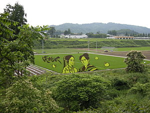 Rice Paddy Art