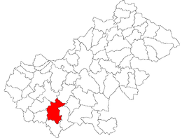 Tășnad - Carte