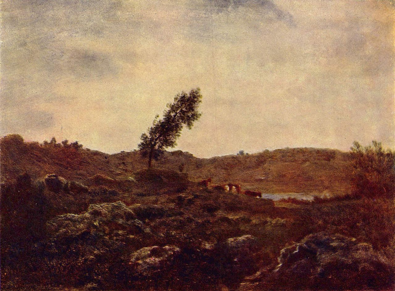 a tree stands next to a waterhole with cows nestled in the sand coloured landscape