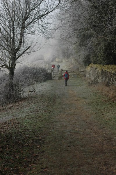 File:The Cotswold Way, Haresfield Beacon - geograph.org.uk - 1122241.jpg