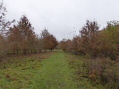 ذخیره گاه محلی طبیعت Marshes (3) .jpg