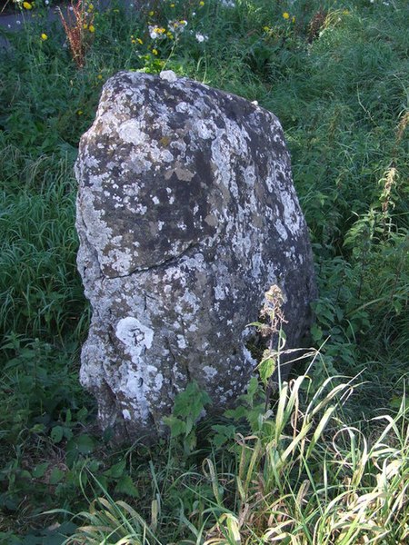 File:The Stockton Stone - geograph.org.uk - 1503069.jpg