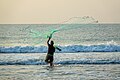 * Nomeamento A man fishing at the shoreat Vizag by Firefighter5151 --IM3847 16:39, 1 May 2024 (UTC) * Promoción Good quality. --Berthold Werner 17:10, 1 May 2024 (UTC)