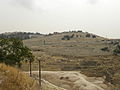 The mount of olives from the temple mount (6374493453).jpg