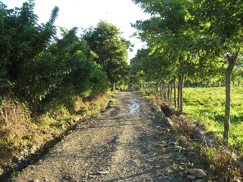 File:The road north, June 2010 - panoramio.jpg