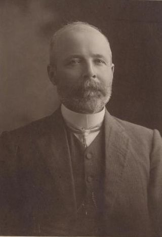 <span class="mw-page-title-main">Thomas Brown (New South Wales politician)</span> Australian farmer and politician (1861–1934)