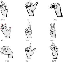 Hand shapes of Signed Toki Pona and Luka Pona