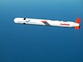 Image 36American Tomahawk cruise missile (from Missile)