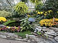 Allan Gardens Conservatory