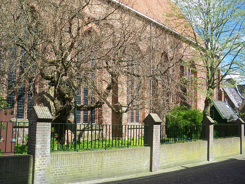 File:Tuin - Grote of Sint-Martinuskerk - Dokkum.jpg