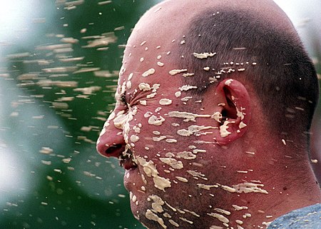 US Navy 020821-N-8252B-003 During training, a U.S. Navy Master At Arms is sprayed with Oleoresin Capsicum, a non-lethal form of pepper spray for use in riot control.jpg