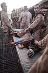 アフガニスタンの戦闘で負傷したアメリカ海兵隊の爆発物探知犬