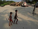 3. The beachcombers of Udaipur Sea Beach, West Bengal