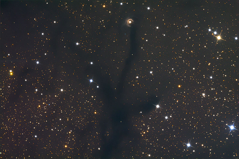 File:V1331 Cygni Proto Nebula from the Mount Lemmon SkyCenter Schulman Telescope courtesy Adam Block.jpg