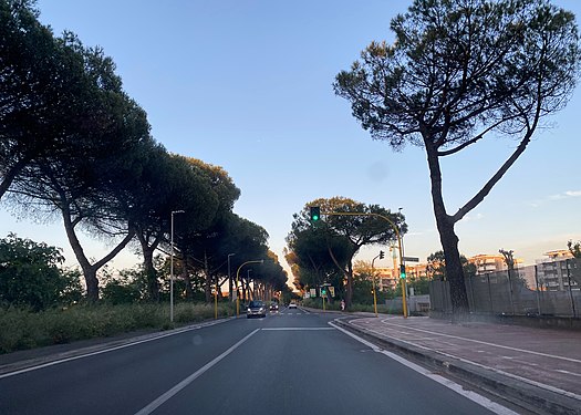 Via di Grotta Perfetta in Rome