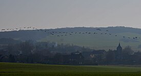 Vol d'oiseaux au-dessus du village de Chevannes-Changy (Nièvre, France) en 2011.jpg