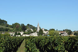 Vue du bourg de Saint-Michel de Fronsac depuis les vignes.jpg