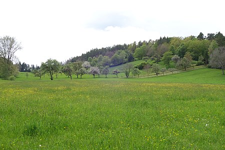 Weinberghalde Weildorf