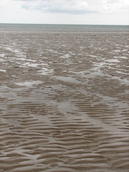 File:West Sands - geograph.org.uk - 428222.jpg