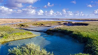 Priele in den Salzwiesen vor Westerhever