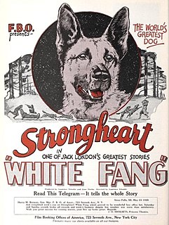 <i>White Fang</i> (1925 film) 1925 film