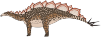 Artist's restoration of Wuerhosaurus. Wuerhosaurus homheni.png