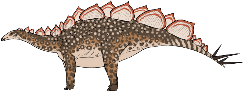 Wuerhosaurus homheni