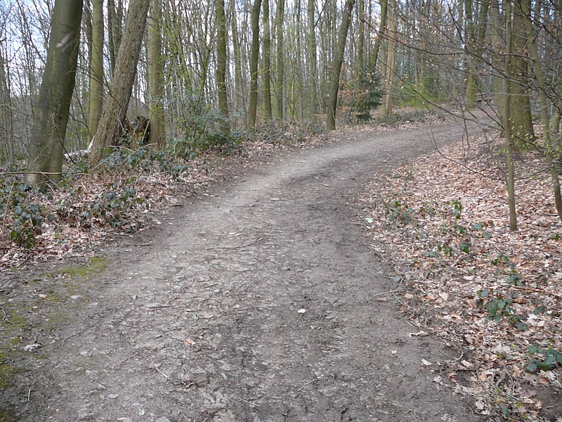 File:Wuppertal Nützenbergpark 0023.jpg