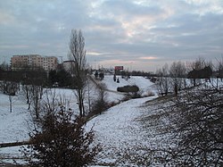 Pohled přes park v zimě (2012)