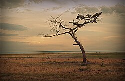 Landschaft im Bezirk Yeravninsky