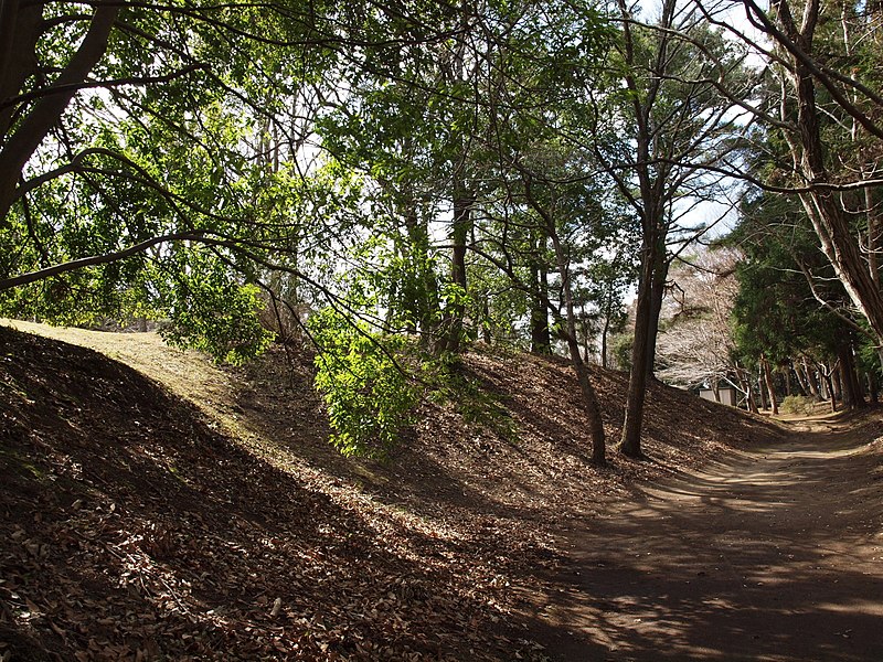 File:虎塚古墳 2009.03.29 - panoramio (7).jpg