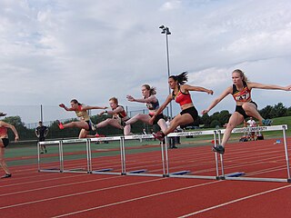 <span class="mw-page-title-main">Tetradecathlon</span> Athletic track and field competition consisting of fourteen events