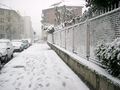 1406 - Neve a Milano - Foto Giovanni Dall'Orto 28-Dec-2005.jpg