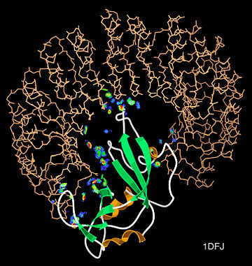 Interakcija protein-protein