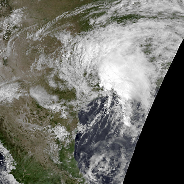 1981 Atlantic hurricane season