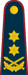 20-Lithuania Air Force-MG.svg