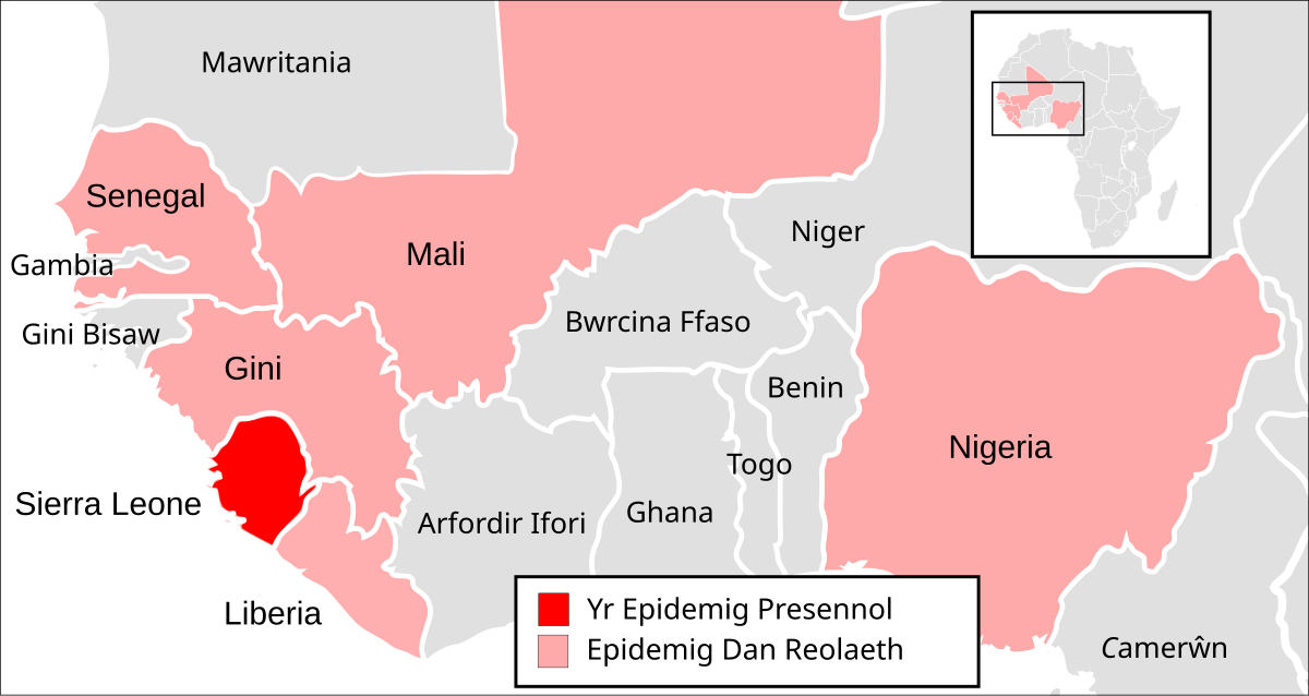 Epidemig Ebola Gorllewin Affrica, 2013-16 - Wicipedia