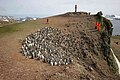 2016-02-01 140930 penguins kindergarten IMG 3295.jpg