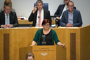 2016-07-14 Plenarsitzung Landtag Rheinland-Pfalz by Olaf Kosinsky-4.jpg