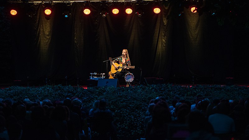 File:2018 Tina Dico - by 2eight - 8SC2780.jpg